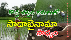 REVENUE Act 2024: కొత్త రెవిన్యూ చట్టం ద్వారా సాదాబైనామా