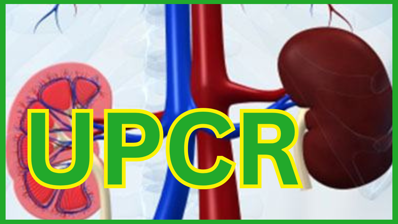 can a high protein/creatinine ratio be a symptom of amyloidosis