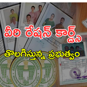 RATION CARDS 24: వీరి రేషన్ కార్డ్స్ తొలగిస్తూ