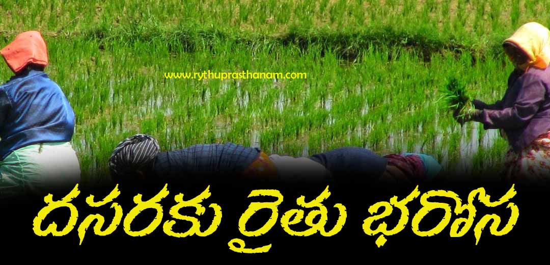 Rythu Bharosa News