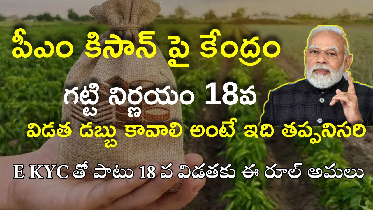PM Kisan 2024: పీఎం కిసాన్ 18వ విడతపై కేంద్రం కీలక నిర్ణయం