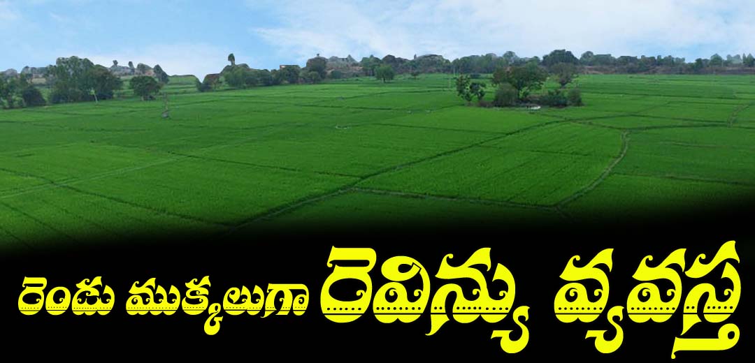 Telangana Revenue divided