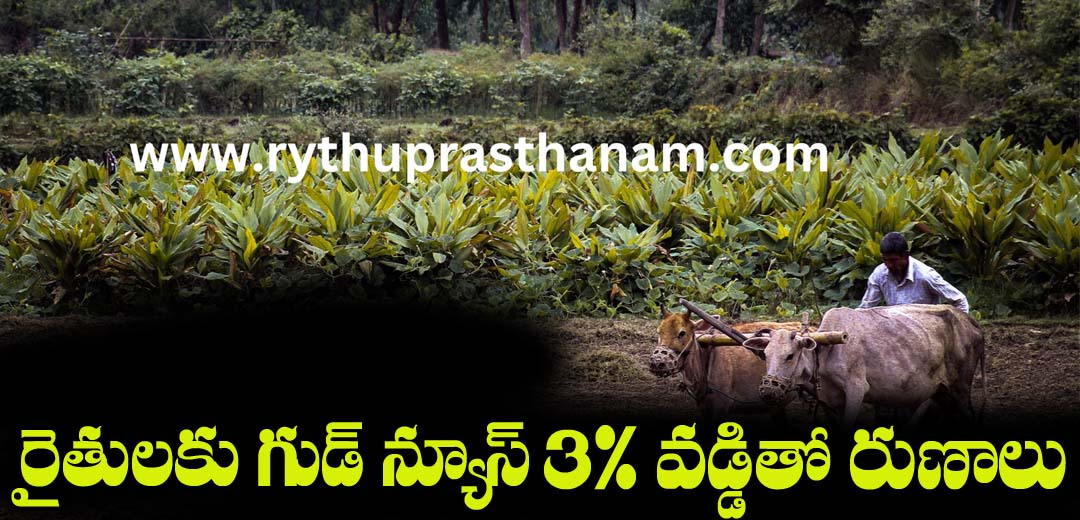 pm kisan cc