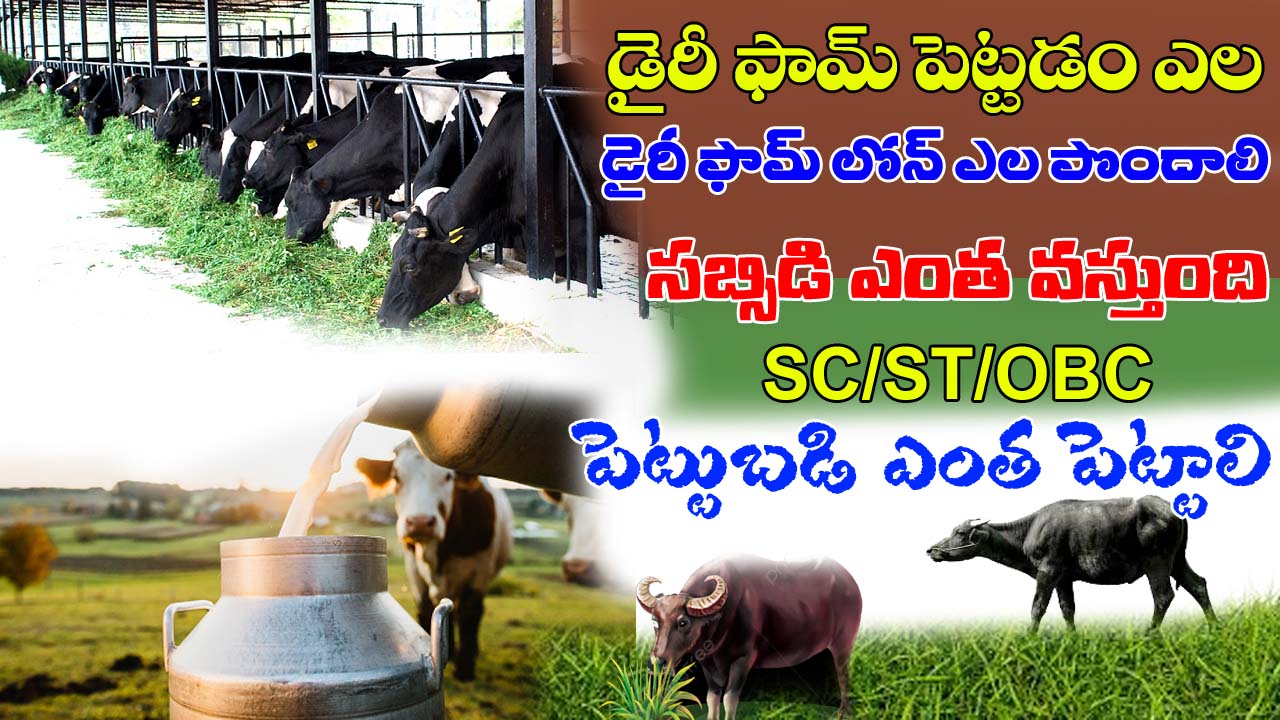 PMEGP Dairy Farm Subsidy Details