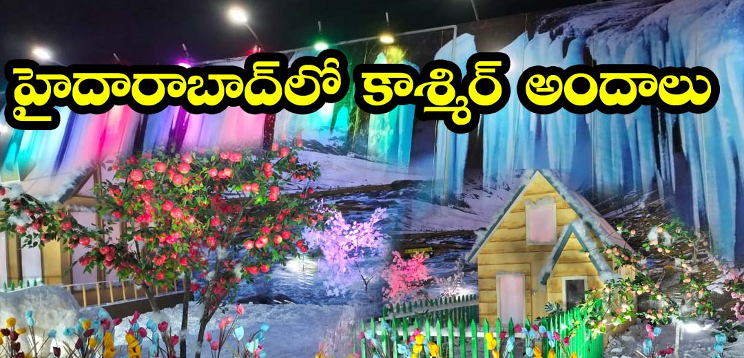 Kashmir Exhibition In Hyderabad Grounds