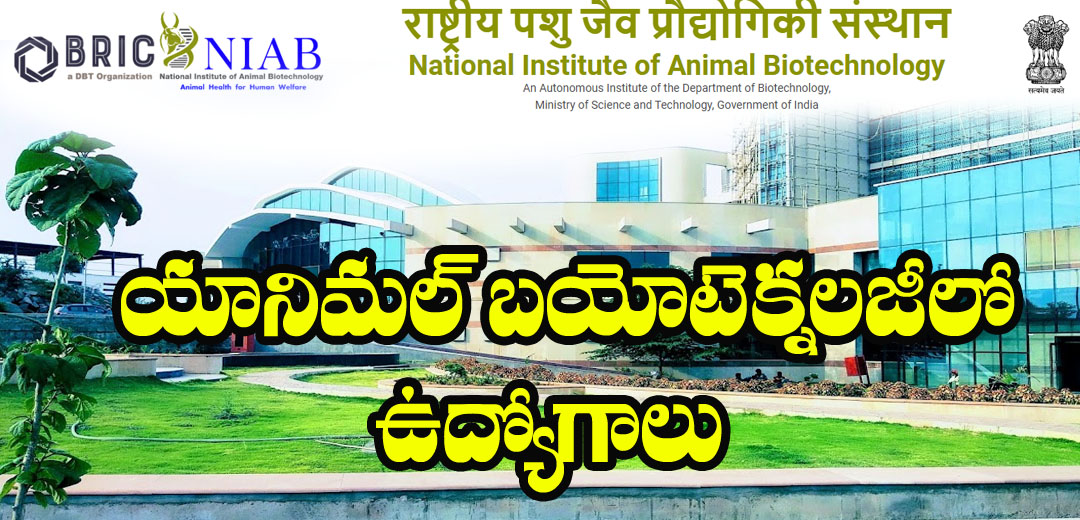 NIAB Latest Job Notification 2024 Interviews