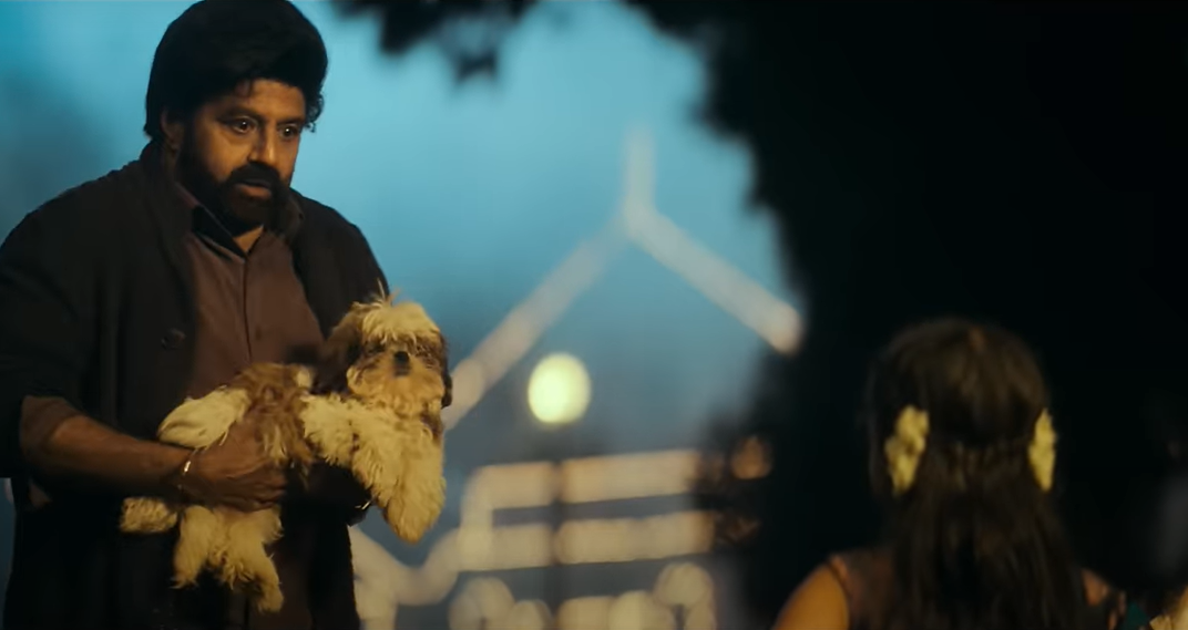 Chinni Song Lyrics Daaku Maharaaj Balakrishna