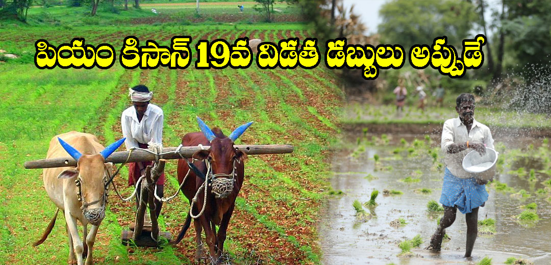 PM Kisan 19th Installment Release Date