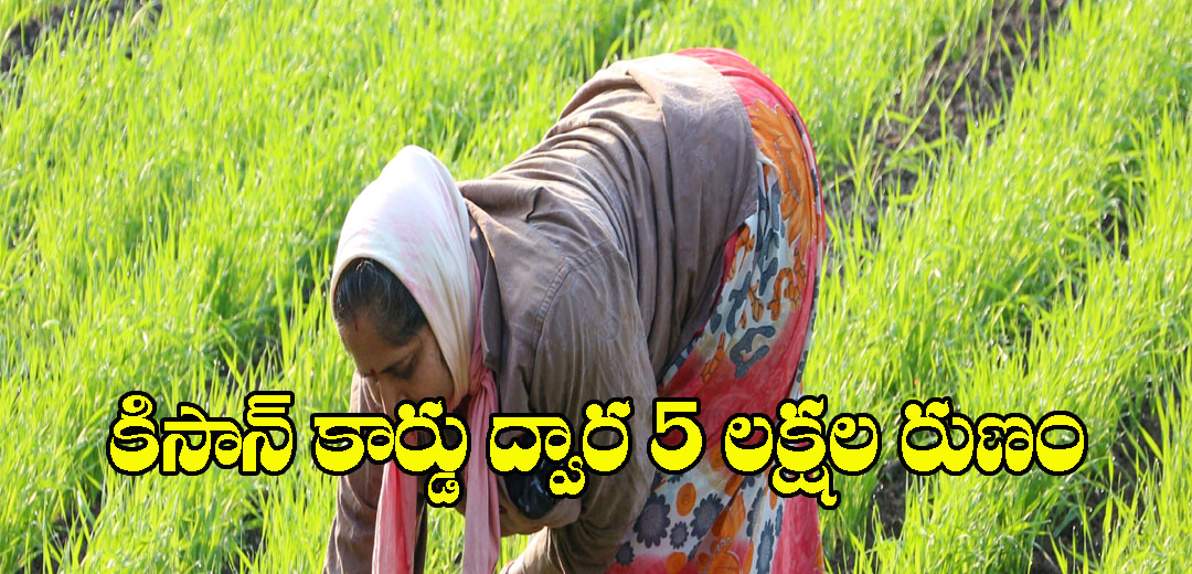 Nirmala Sitharaman good News to Farmers On KCC