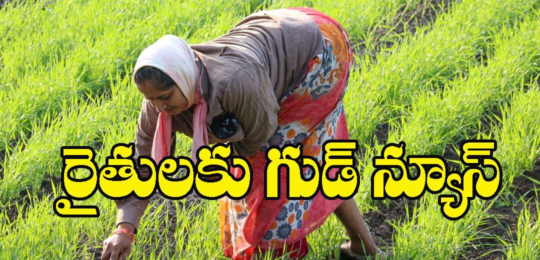 AP government Giving To New Cards for Subsidy