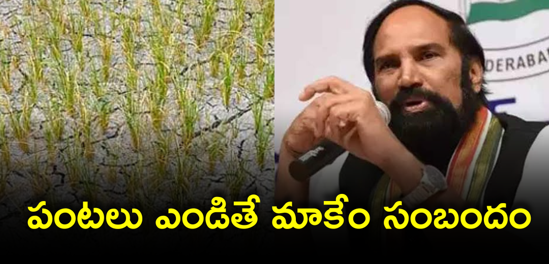It is not our responsibility if the crop dryup