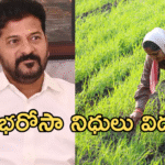 Rythu Bharosa Scheme Fund Releasing today