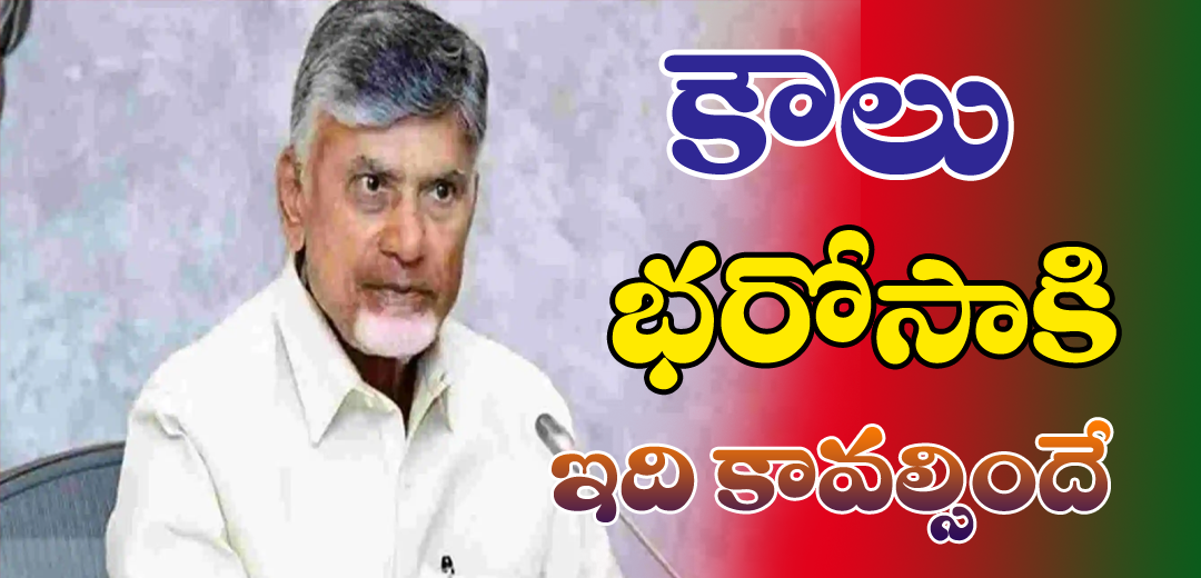 Annadata Sukhibava 1st installment Date 2025