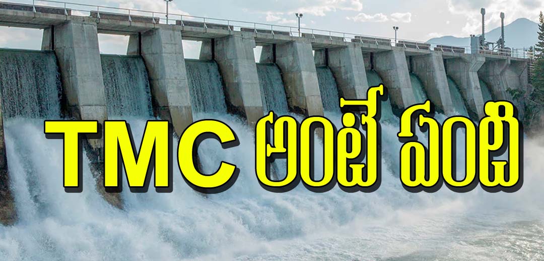What is the TMC