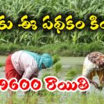 The farmer subsidy schemes in 2025