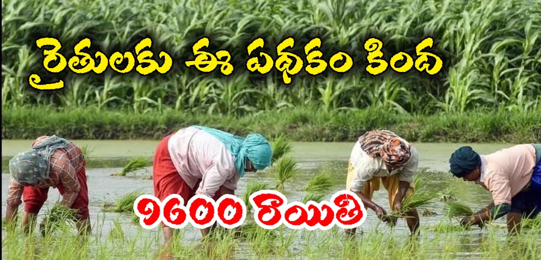 The farmer subsidy schemes in 2025