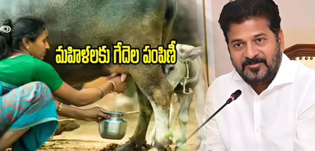 Telangana Indira Women Dairy Scheme 2025