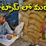 ration card service on Whats app in AP