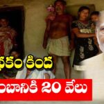 National Family Benefit Scheme 2025