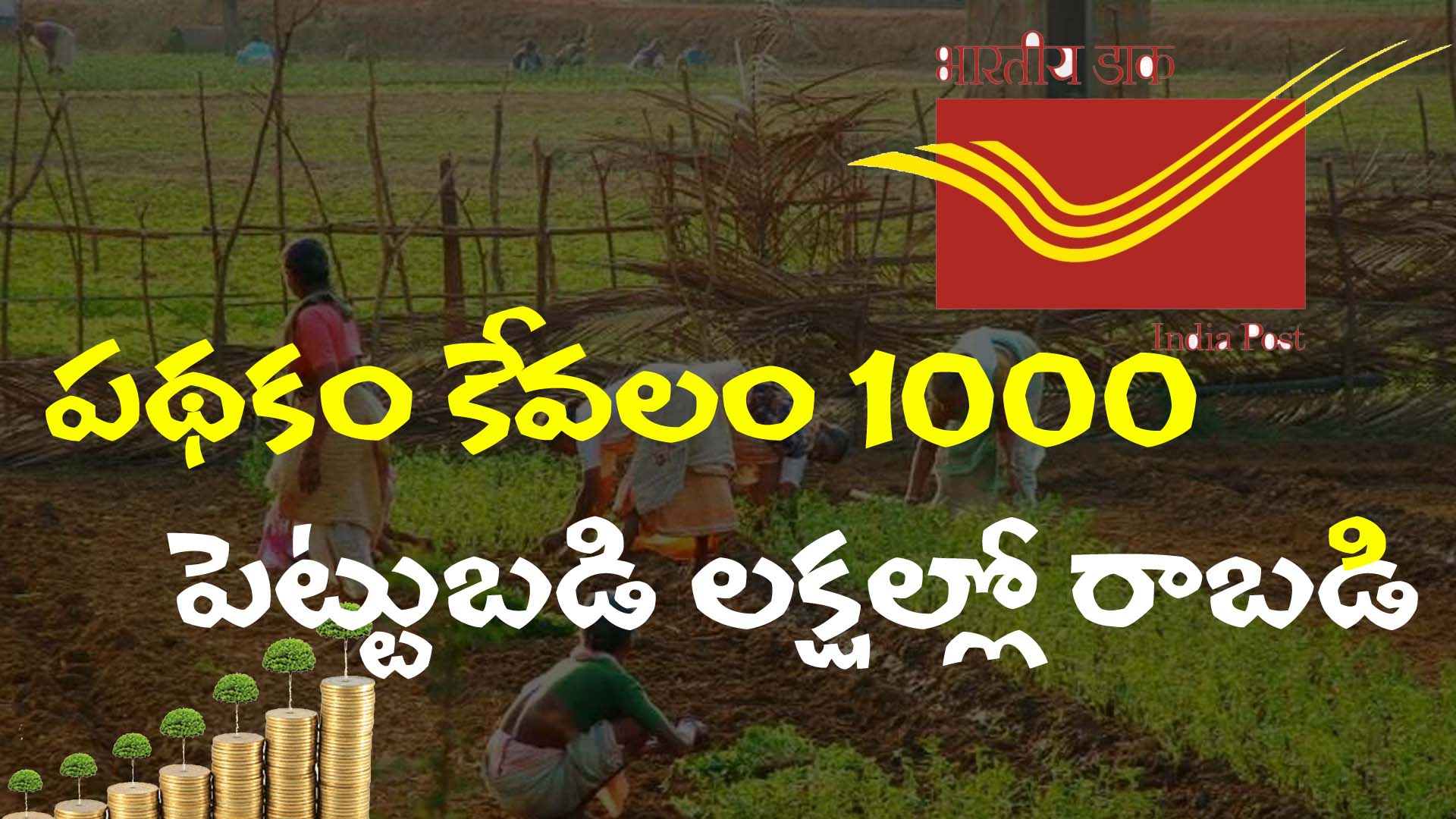 Post Office Kisan Vikas Patra Scheme 2025