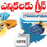 Local body Elections High Court Big Update