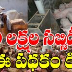 national livestock mission scheme details