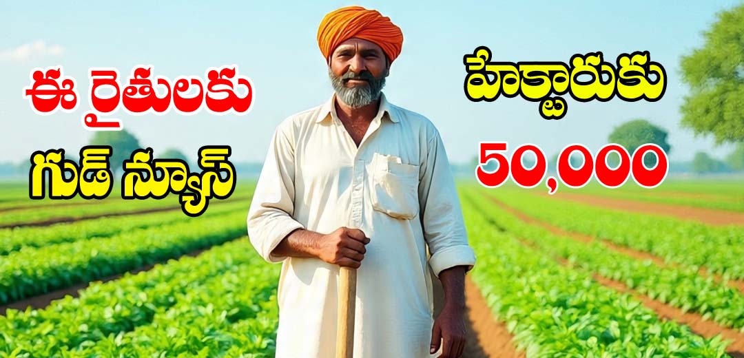 ఈ రైతులకు గుడ్ న్యూస్ 50 వేళా రూపాయలు | 50000 benifits with e panta scheme 1 50000 benifits with e panta scheme