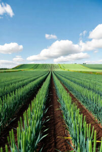 ప్రభుత్వ భూమిని సులభంగా లీజుకు తీసుకోండి ఈ పద్దతిలో | Government Lands on leez with procedure 2025 5