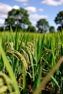 ప్రభుత్వ భూమిని సులభంగా లీజుకు తీసుకోండి ఈ పద్దతిలో | Government Lands on leez with procedure 2025 3