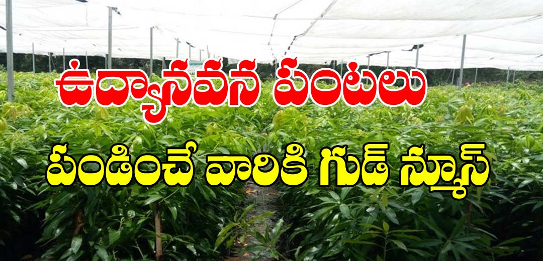 Ap Govt Good News To Horticultural crop Farmer