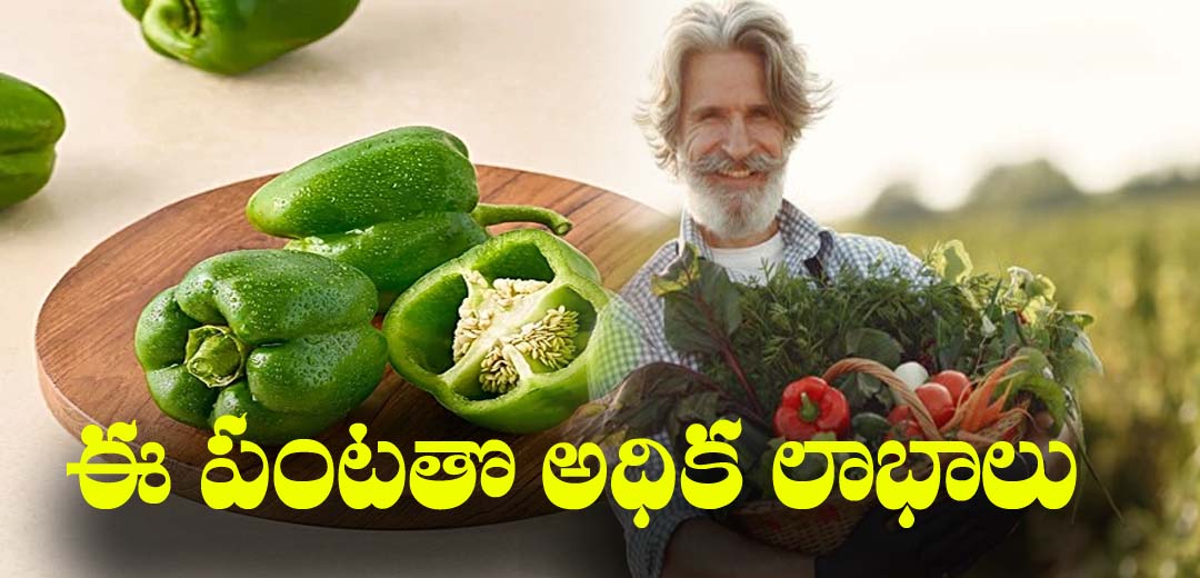 Hevy Market Demand Crop In Telanagan