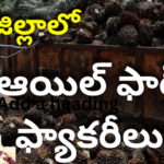 We will build an oil farm factory in district.