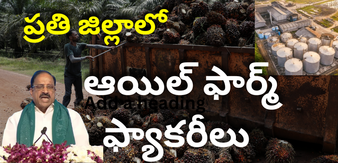 We will build an oil farm factory in district.