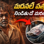 CM Chandrababu on Madanapalle Case