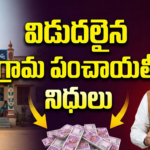 National Youth Crops Scheme Giving 5000