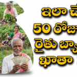 Agriculture profitable leaf vegitables 2026