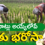 Tummala Nageshwar Rao Talk About Rythu Bharosa