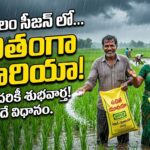 telangana-free-urea-supply-proposal-farmers-relief