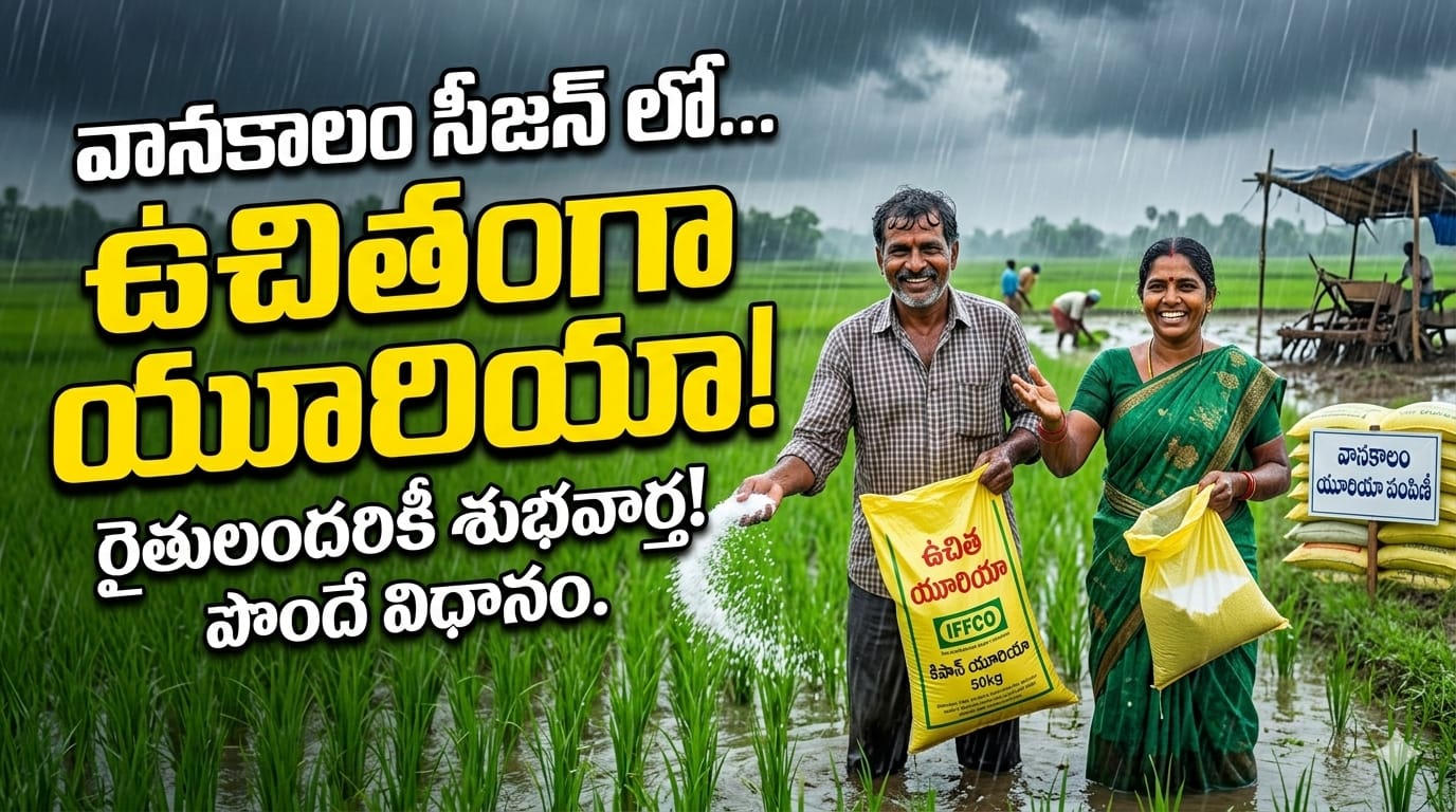 telangana-free-urea-supply-proposal-farmers-relief