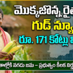 telangana-government-releases-maize-farmers-dues-markfed-funds