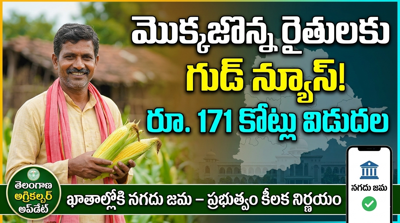 telangana-government-releases-maize-farmers-dues-markfed-funds