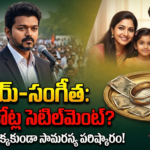 vijay-sangeetha-divorce-250-crore-alimony-settlement-tvk