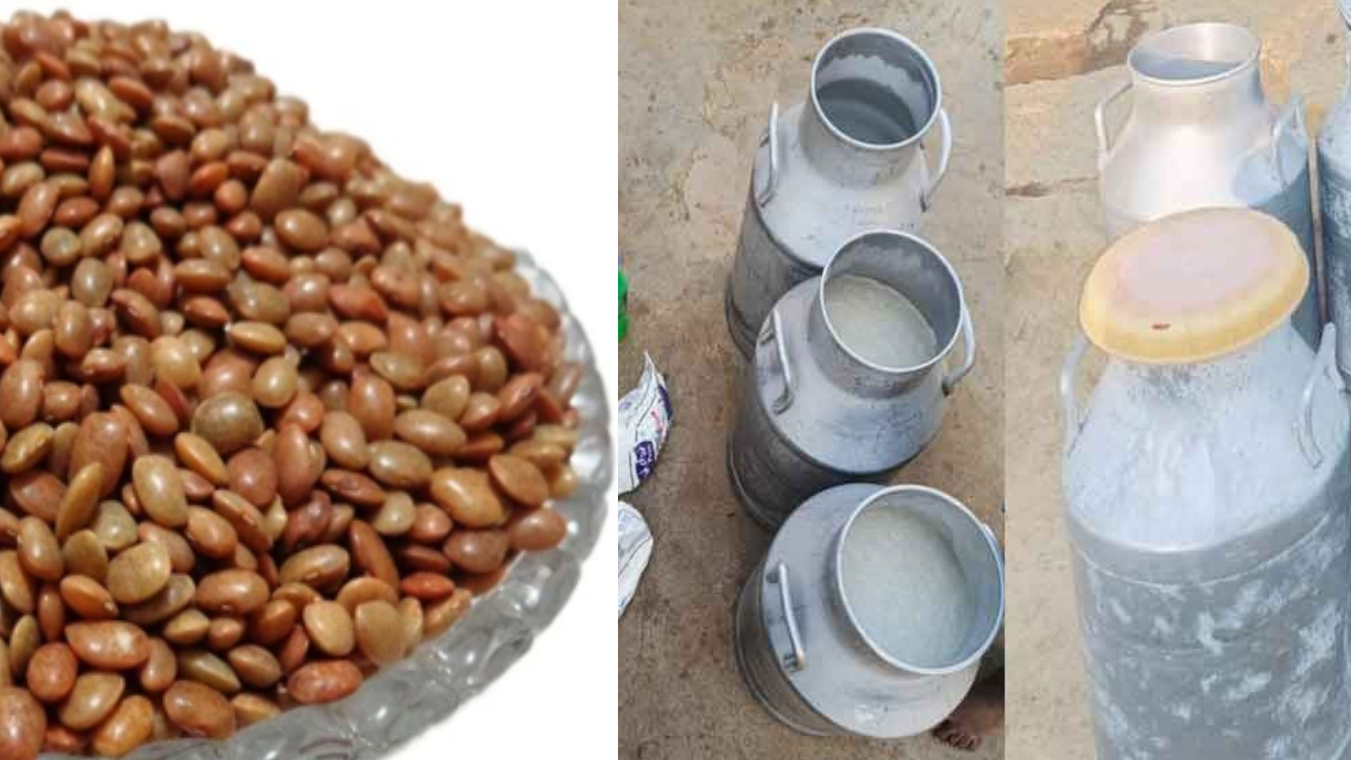 rajahmundry-adulterated-milk-incident-death-toll-rises-andhra-pradesh