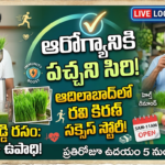 wheatgrass-juice-health-benefits-and-self-employment-success-story-adilabad