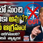 trump-nato-exit-statement-iran-war-uk-response