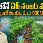 ap-ranks-first-in-micro-irrigation-apmip-success