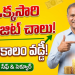 how-to-become-crorepati-with-ppf-investment-strategy-telugu