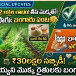 stevia-farming-profit-subsidy-details-for-farmers-telugu