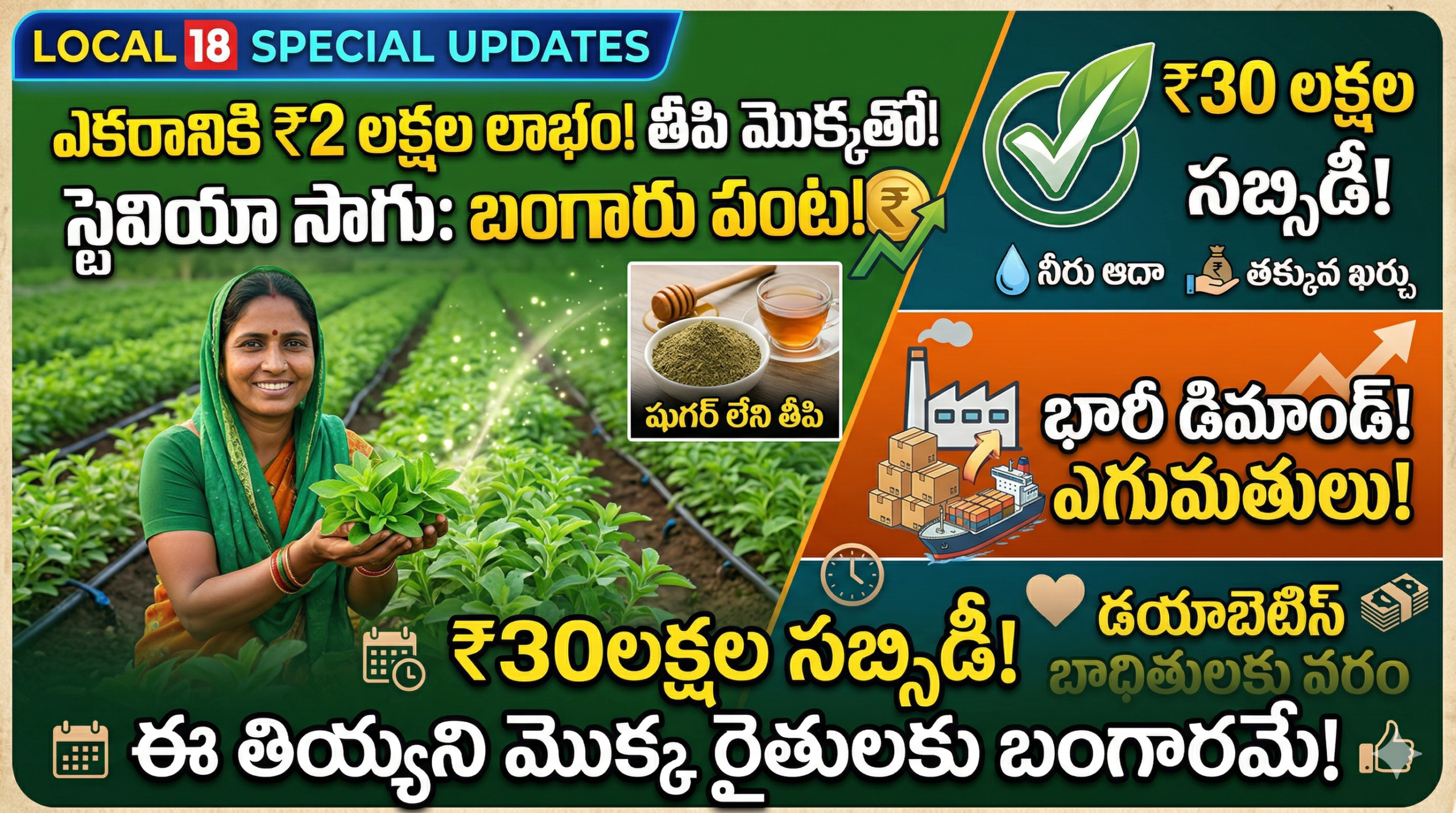 stevia-farming-profit-subsidy-details-for-farmers-telugu