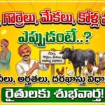 telangana-women-livestock-distribution-scheme-from-june-2